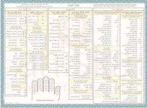 Avamil Şeması Renkli