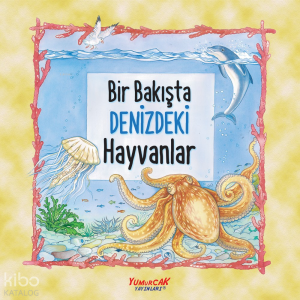 Bir Bakışta Denizdeki Hayvanlar