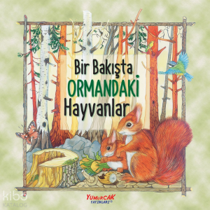 Bir Bakışta Ormandaki Hayvanlar