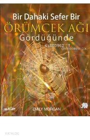 Bir Dahaki Sefer Örümcek Ağı Gördüğünde