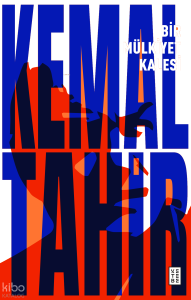 Bir Mülkiyet Kalesi