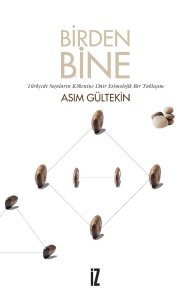 Birden Bine;Türkçede Sayıların Kökeni Üzerine Denemeler