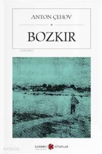 Bozkır