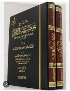 Şerhu Muhtasarı Ravzatul Nazır 2 Cilt