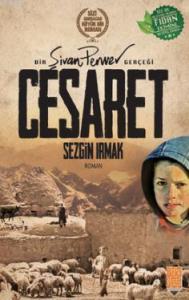 Cesaret; Bir Şivan Perwer Gerçeği
