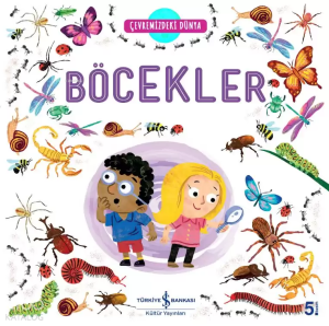 Çevremizdeki Dünya Böcekler