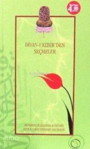 Divan-ı Kebir'den Seçmeler