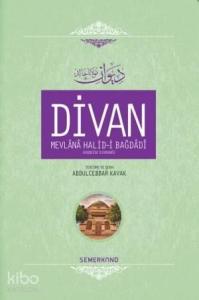 Divan Mevlânâ Halid-i Bagdâdî (Ciltli)