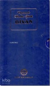 Erzurumlu İbrahim Hakkı Divanı