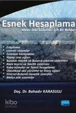 Esnek Hesaplama; Melez Zeki Sistemler İçin Bir Rehber