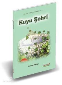 Kuyu Şehri