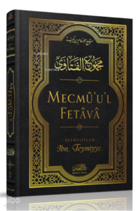 Mecmû'u'l-Fetâvâ (13. cilt)