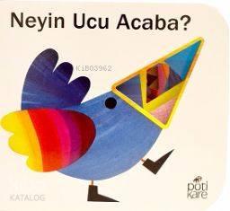 Neyin Ucu Acaba?
