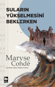 Suların Yükselmesini Beklerken