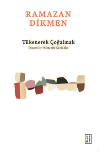 Tükenerek Çoğalmak;Denemeler, Mektuplar, Günlükler