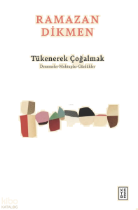 Tükenerek Çoğalmak;Denemeler, Mektuplar, Günlükler