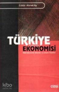 Türkiye Ekonomisi; Makroekonomik Sorunlar ve Çözüm Önerileri 