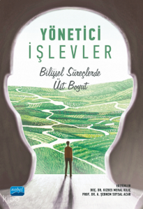 Yönetici İşlevleri;Bilişsel Süreçlerde Üst Boyut