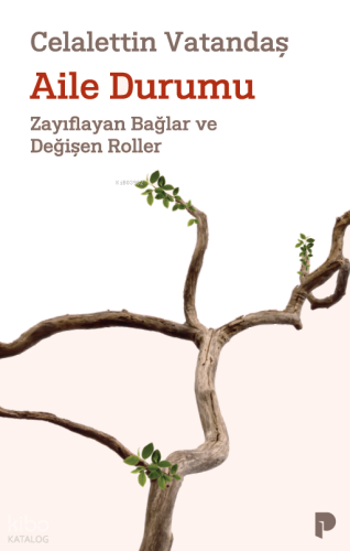 Aile Durumu;Zayıflayan Bağlar ve Değişen Roller