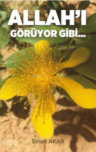 Allah'ı Görüyor Gibi | benlikitap.com