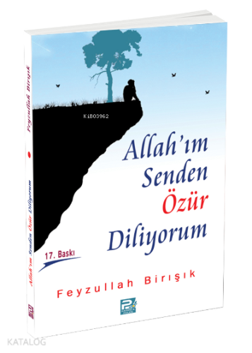 Allah'ım Senden Özür Diliyorum | benlikitap.com