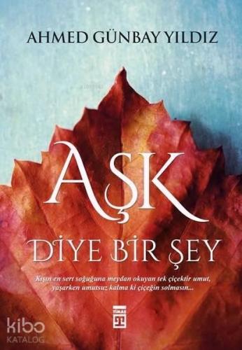 Aşk Diye Bir Şey