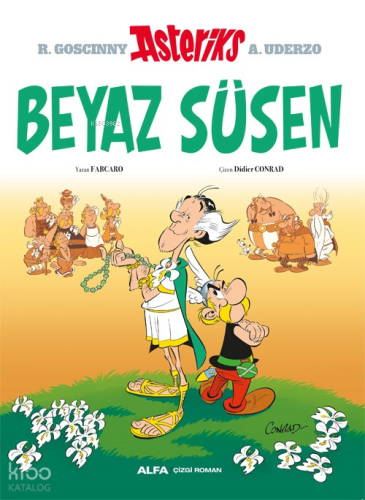 Asteriks Beyaz Süsen - 40