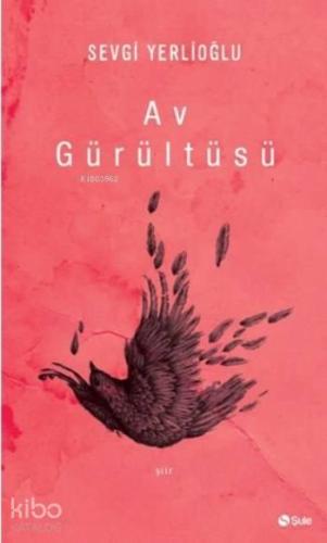 Av Gürültüsü