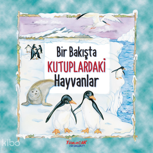 Bir Bakışta Kutuplardaki Hayvanlar | benlikitap.com