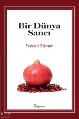 Bir Dünya Sancı | benlikitap.com
