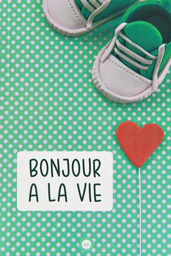 Bonjour A La Vie (Hayata Merhaba) Fransızca | benlikitap.com