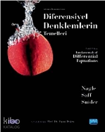 Diferensiyel Denklemlerin Temelleri