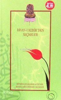 Divan-ı Kebir'den Seçmeler | benlikitap.com
