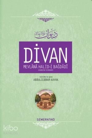 Divan Mevlânâ Halid-i Bagdâdî (Ciltli)