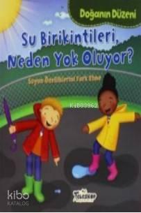 Doğanın Düzeni Su Birikintileri Neden Yok Oluyor?