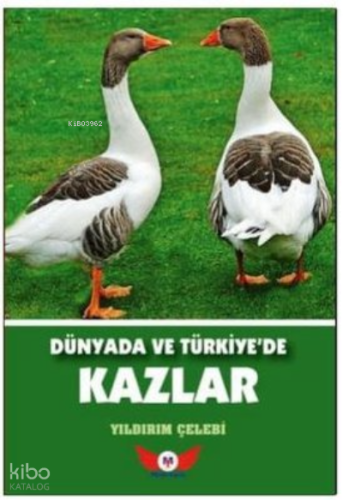 Dünyada Ve Türkiyede Kazlar