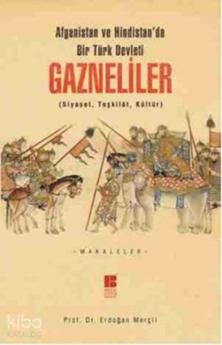 Gazneliler; Siyaset, Teşkilat, Kültür