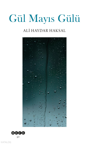 Gül Mayıs Gülü