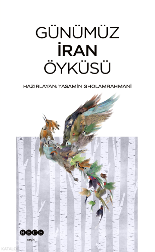 Günümüz İran Öyküsü