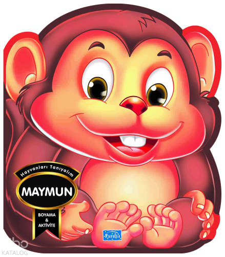 Hayvanları Tanıyalım Maymun
