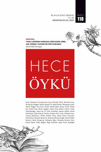 Hece Öykü Sayı 118 | benlikitap.com