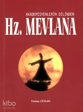 Hz.Mevlana; Akademisyenlerin Dilinden