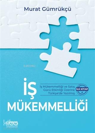 İş Mükemmelliği; İş Mükemmelliği ve Satış Gücü Etkinliği Üzerine Türki