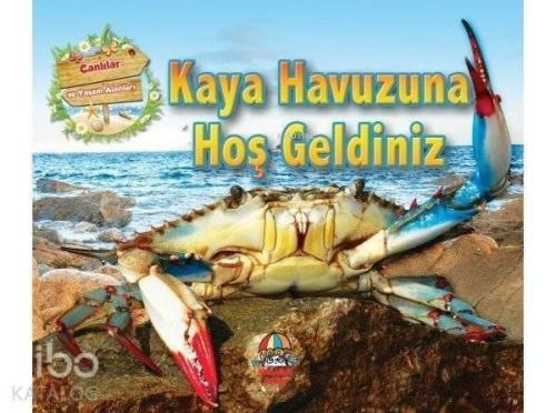 Kaya Havuzuna Hoş Geldiniz | benlikitap.com