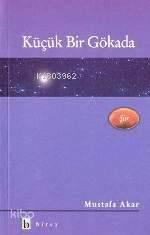 Küçük Bir Gökada