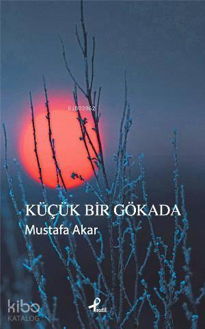 Küçük Bir Gökada