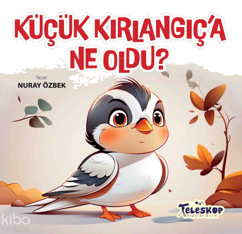 Küçük Kırlangıç'a Ne Oldu? | benlikitap.com