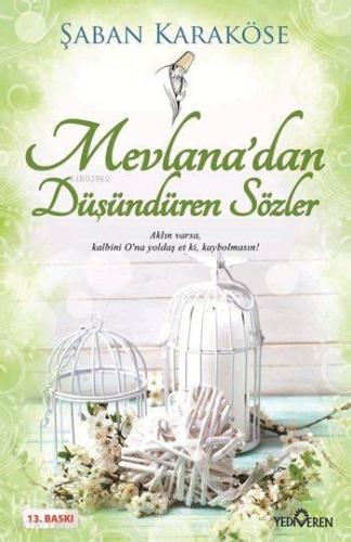 Mevlana'dan Düşündüren Sözler