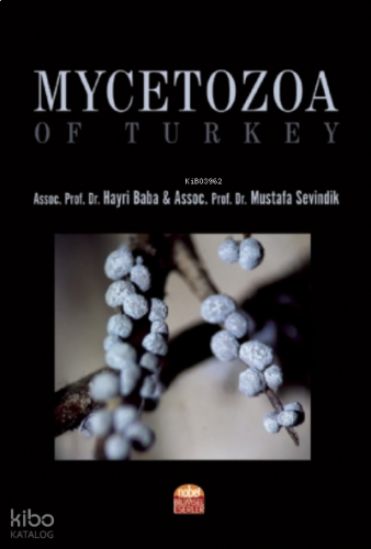 Mycetozoa of Turkey