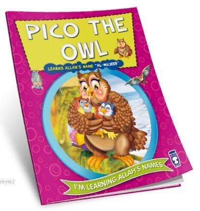 Pico the Owl Learns Allah's Name Al Mujeeb | benlikitap.com